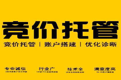 百度推广运营实战技巧：案例教学与解析